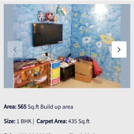 1 Bhk Thane Flat
